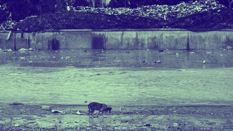 معاينة