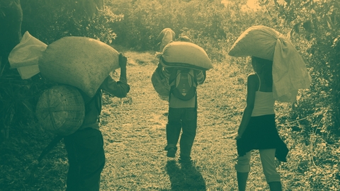 معاينة
