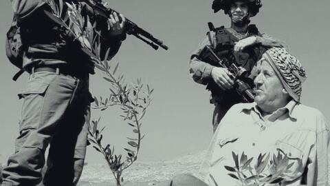 حق تقرير المصير في الزراعة: فرخة الفلسطينية نموذجاً