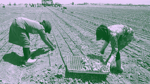 lebanon agriculture