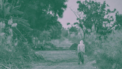egypt agriculture