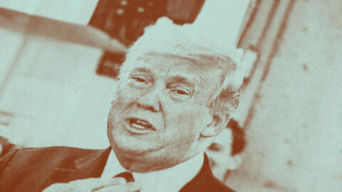 trump on ny times