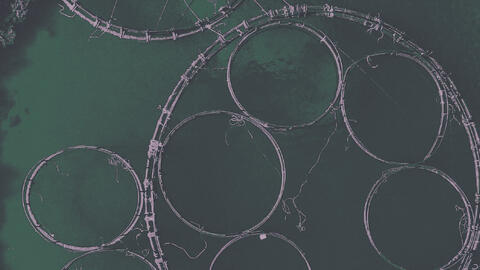 aquaculture