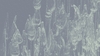 معاينة