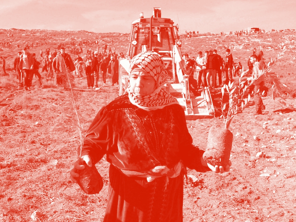 معاينة