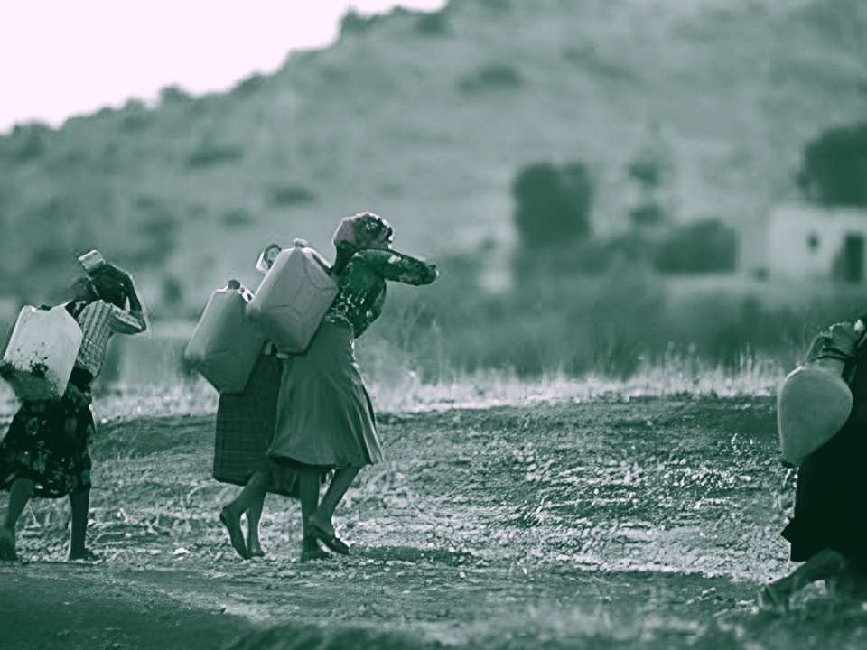 معاينة