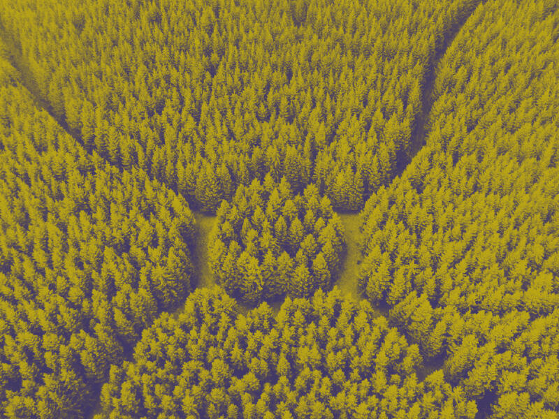 carbon offset