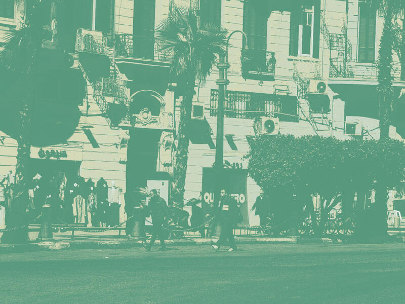 egyptian-subsidies