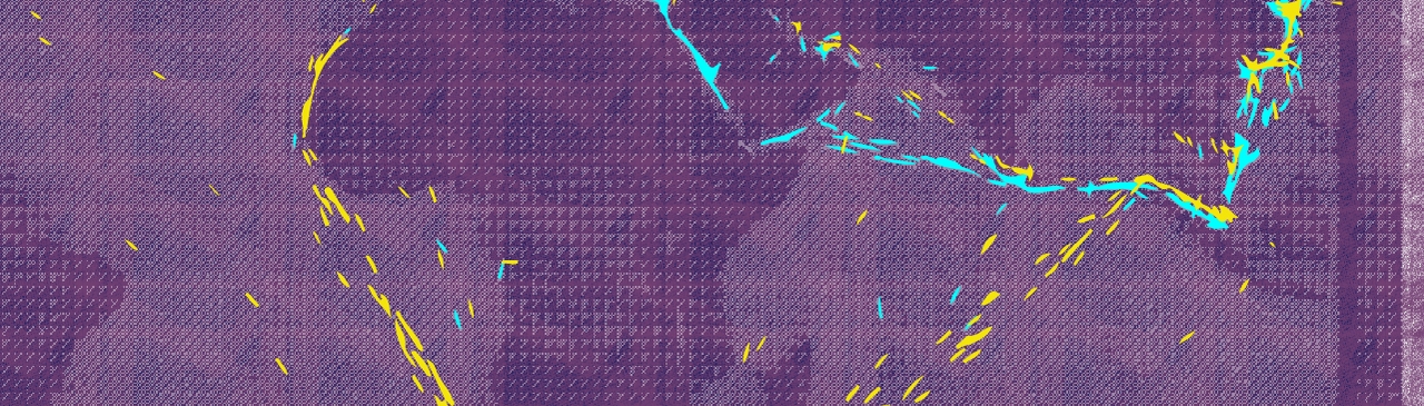 البحر الأحمر