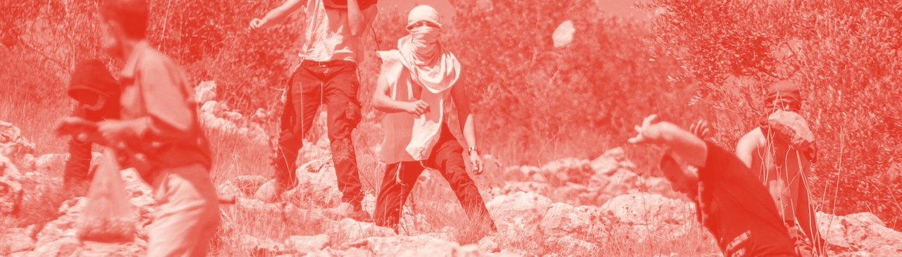 زراعة الزيتون
