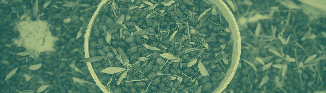 Olives