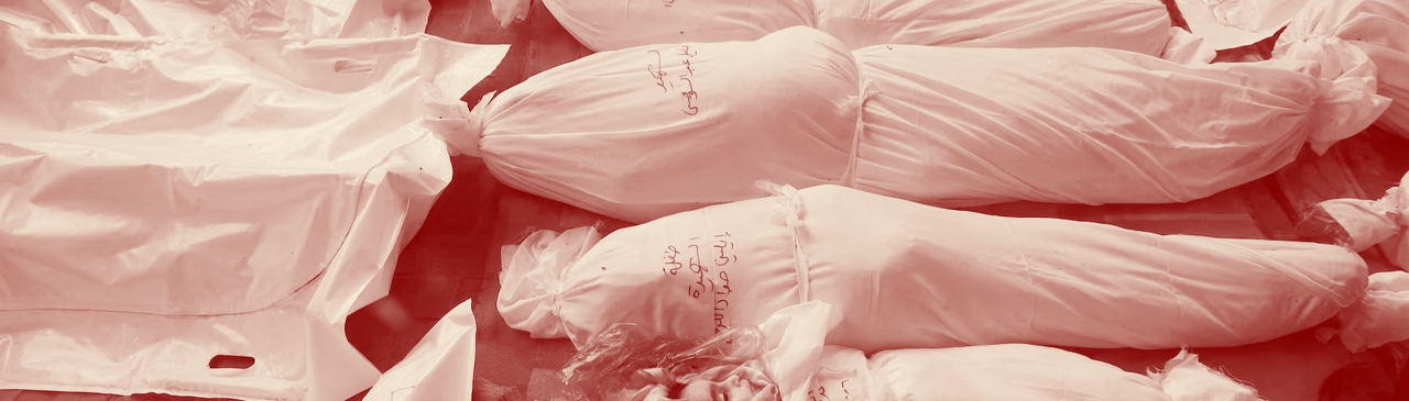 gaza genocide