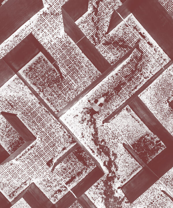 maze