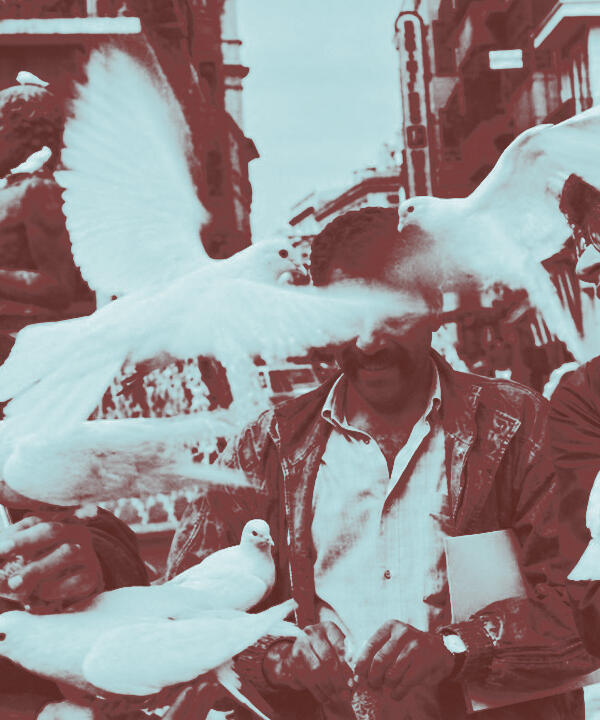 ft-48-mahmoud-darwish-the-pigeons-take-flight